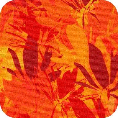 Wishwell Color Wheel 21616 464