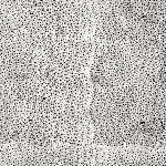 Batik 885 655