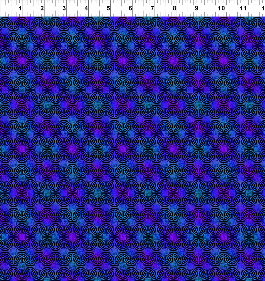Vivid 7VIV 2