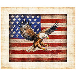 Patriot 2600 30929 X panel
