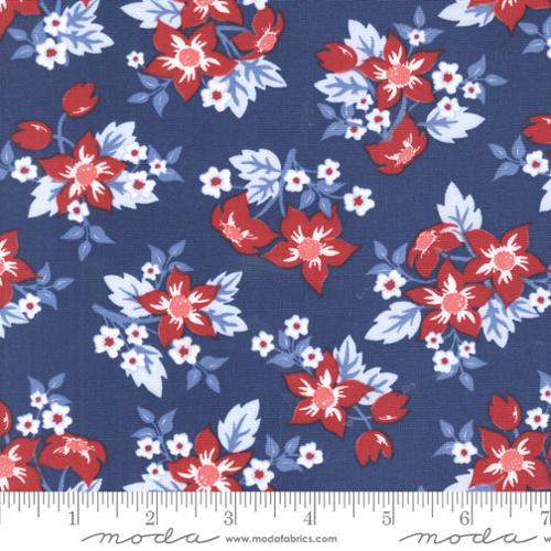 Star Spangled 24170 13