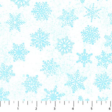 Snowfest 10553 10