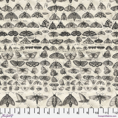 Eclectic Pallete Charcoal PWTH315 Moths