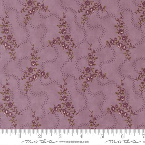 Collections Essence 46272 12