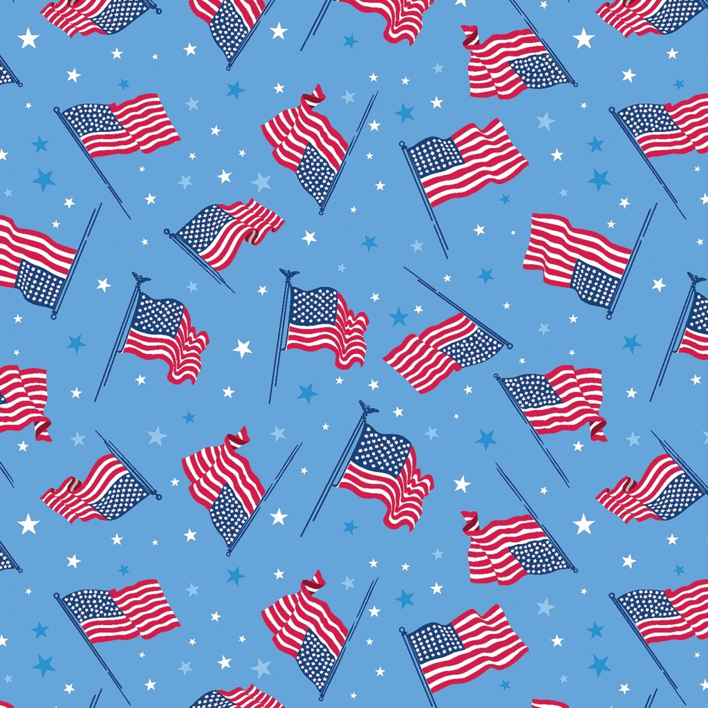 Flags of the USA 15200B 54