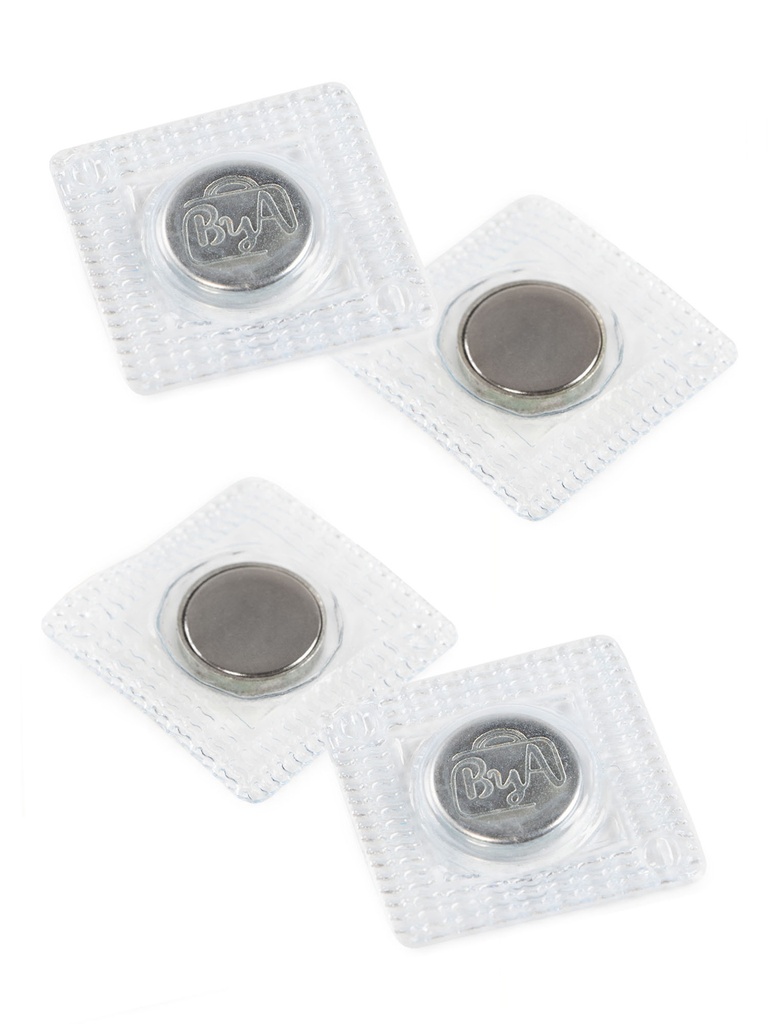 Two Magnets Nickel