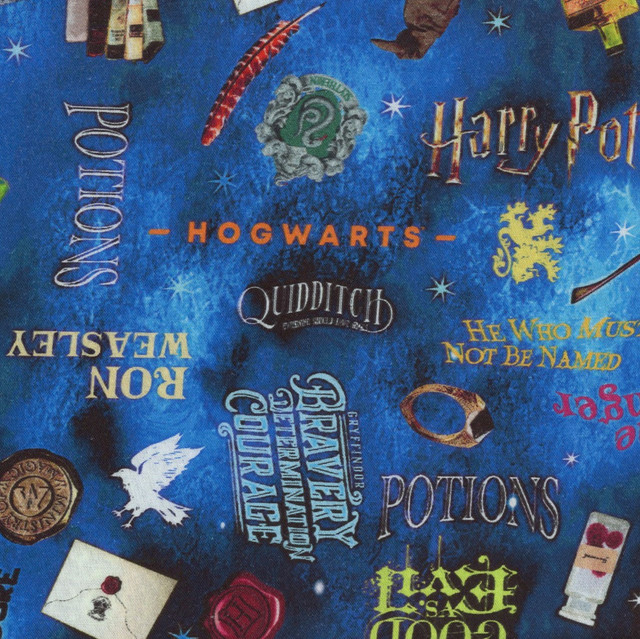 Harry Potter II 15227W 55 108"