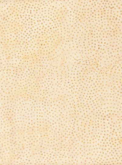 Foundations Neutrals Doughnut