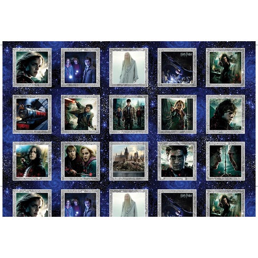 Harry Potter II Panel 15281 99