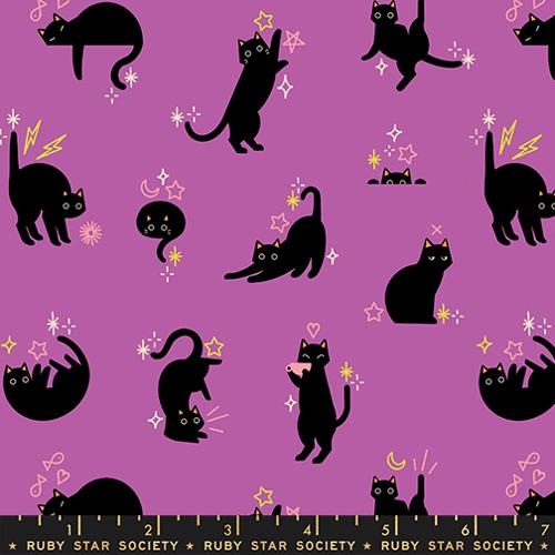 Freaky Familiars RS5193 13