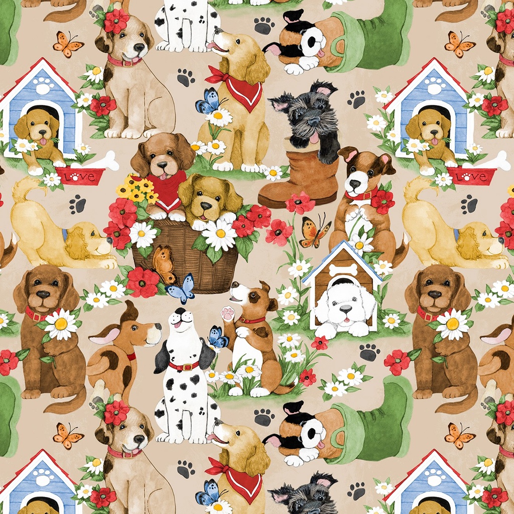 Paws at Play 39918 223