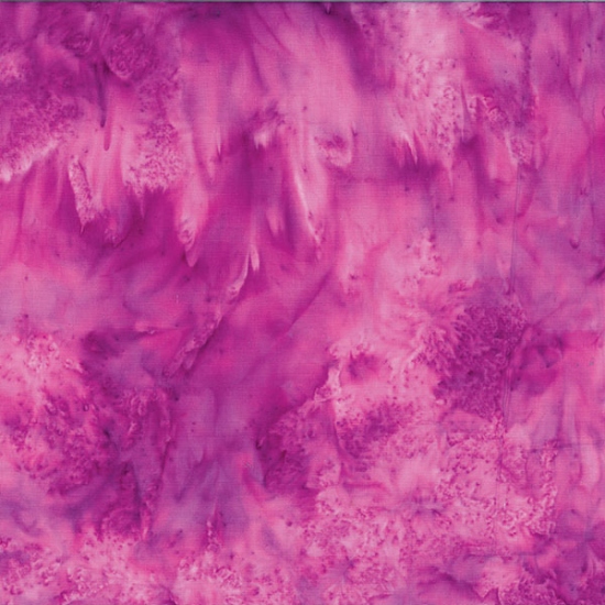 1895 23 Fuschia