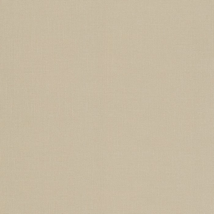 Kona Parchment 413