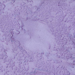 Becolourful Blush BCB13Q