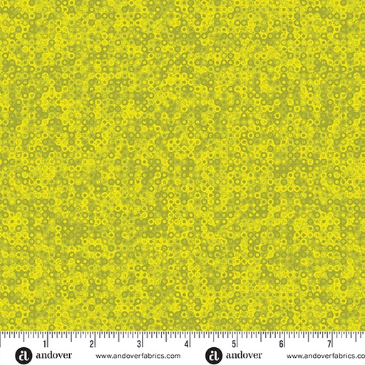 Fairy Rings A1505 V