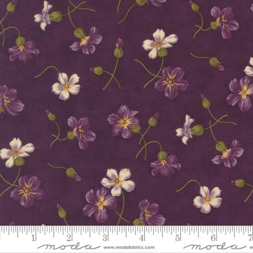 Collections Essence 46271 13