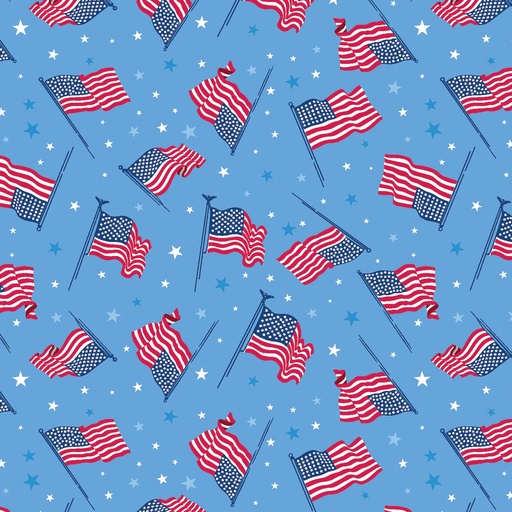 Flags of the USA 15200B 54