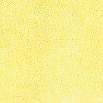 [293887] Batik 885 149