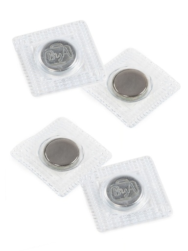 Two Magnets Nickel