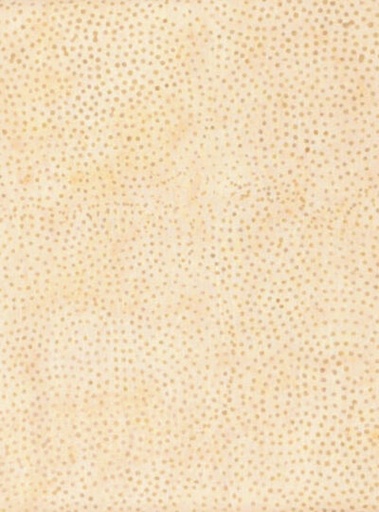 Foundations Neutrals Doughnut
