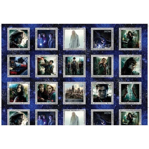 Harry Potter II Panel 15281 99