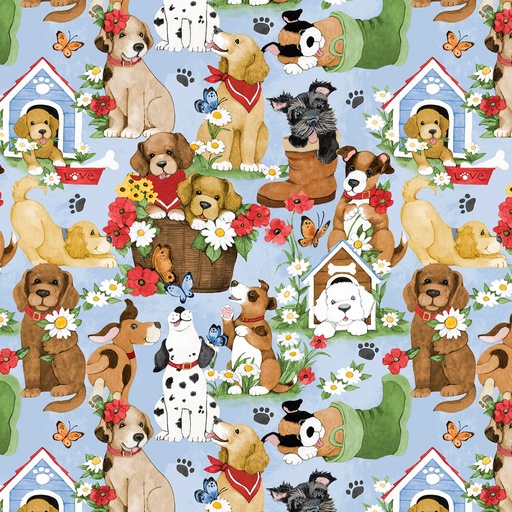 Paws at Play 39918 423