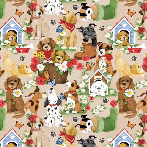 Paws at Play 39918 223