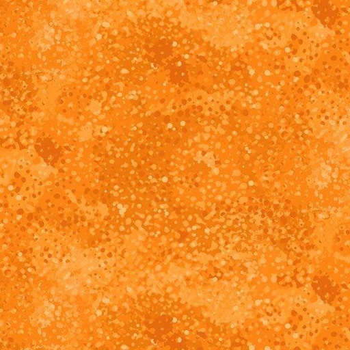 [781135] Color Personality R590259D Orange
